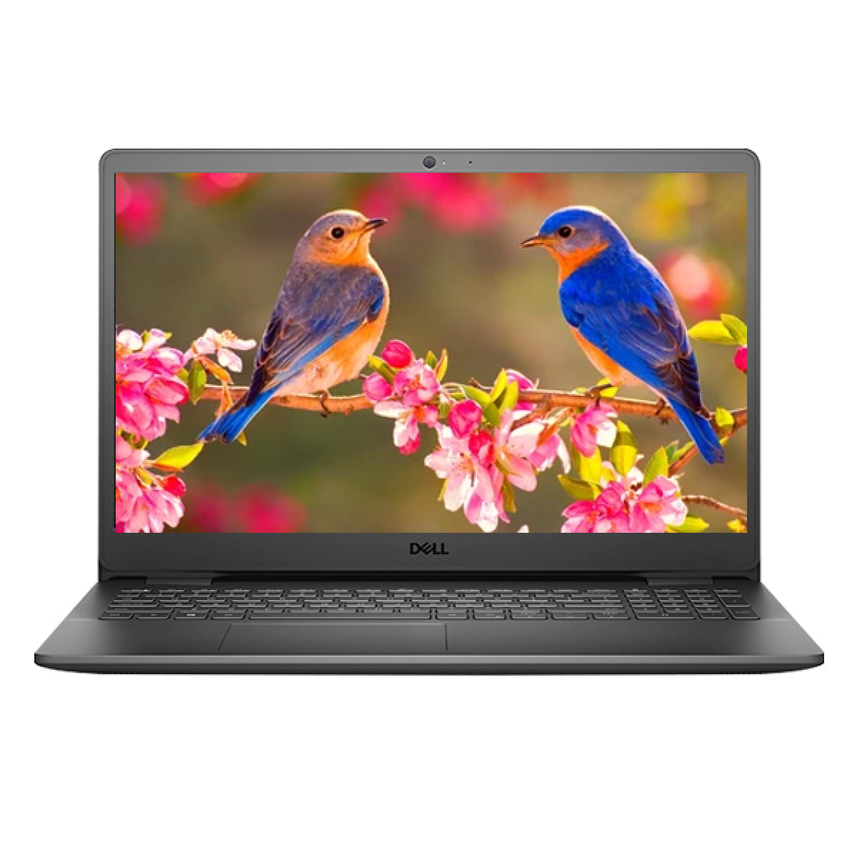 DELL-VOSTRO3500 i3 DOS 11G 1TB 4GB LAPTOP - Image 1