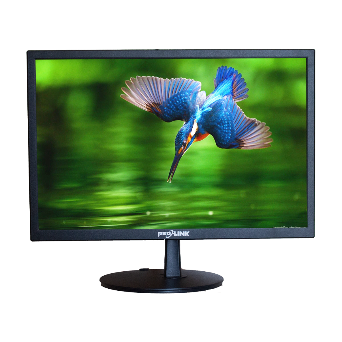REDLINK 19 MONITOR - Image 1