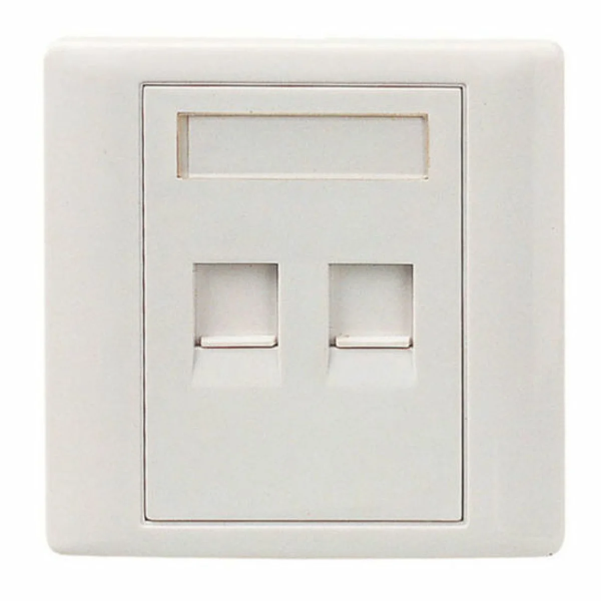 FACE PLATE DUAL - Image 1
