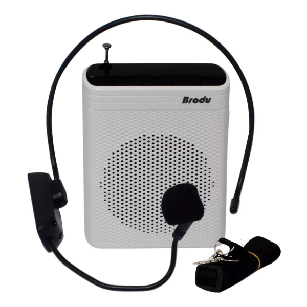 BTS-1383 SPEAKER WIRELESS MIC