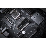 CRUCIAL P3 500GB NVMe M.2 SSD - Image 3