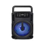 GTS 1360 BLUETOOTH SPEAKER